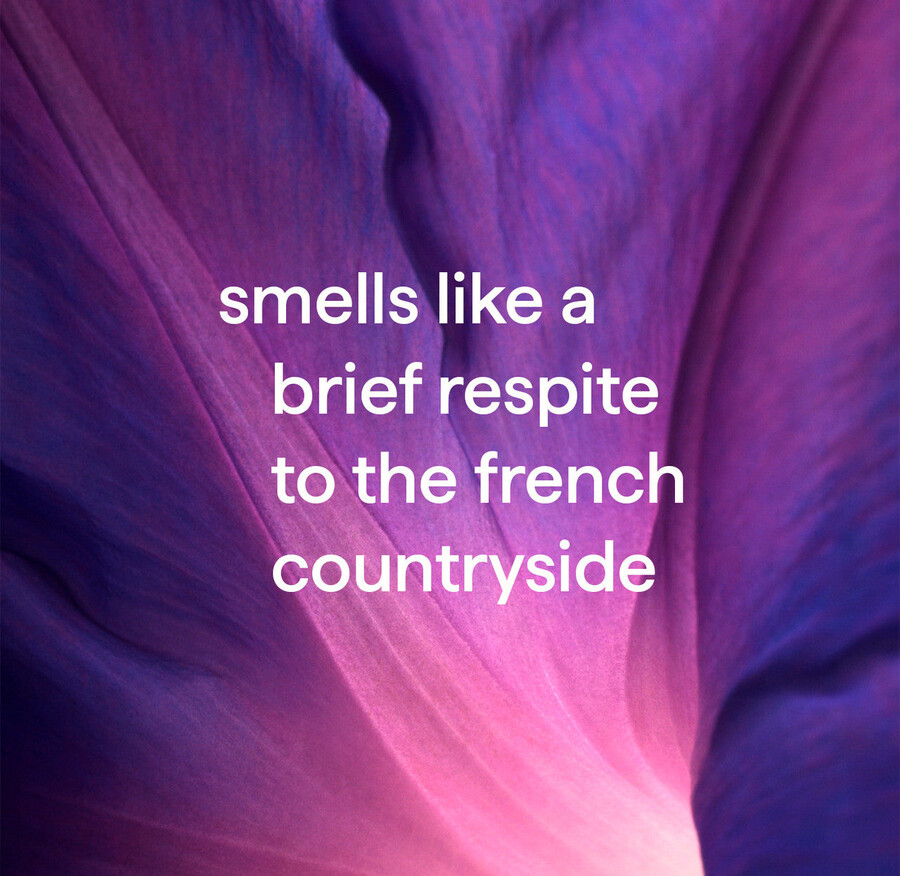 toallitas de limpieza multiusos