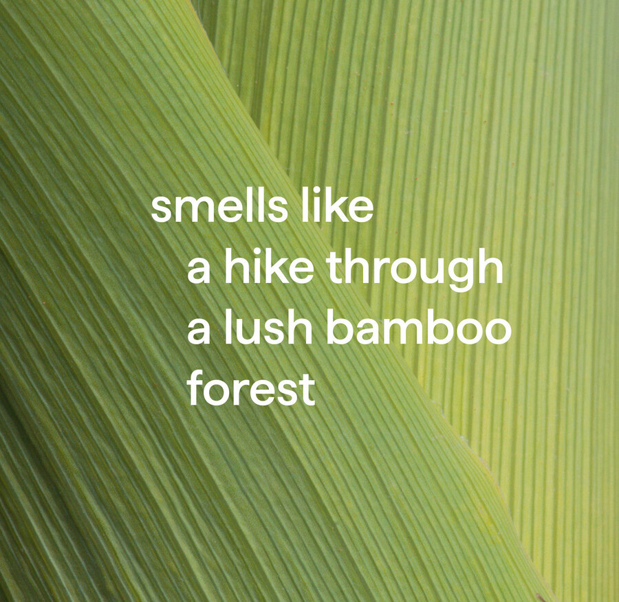 limpiador multiusos antibacteriano