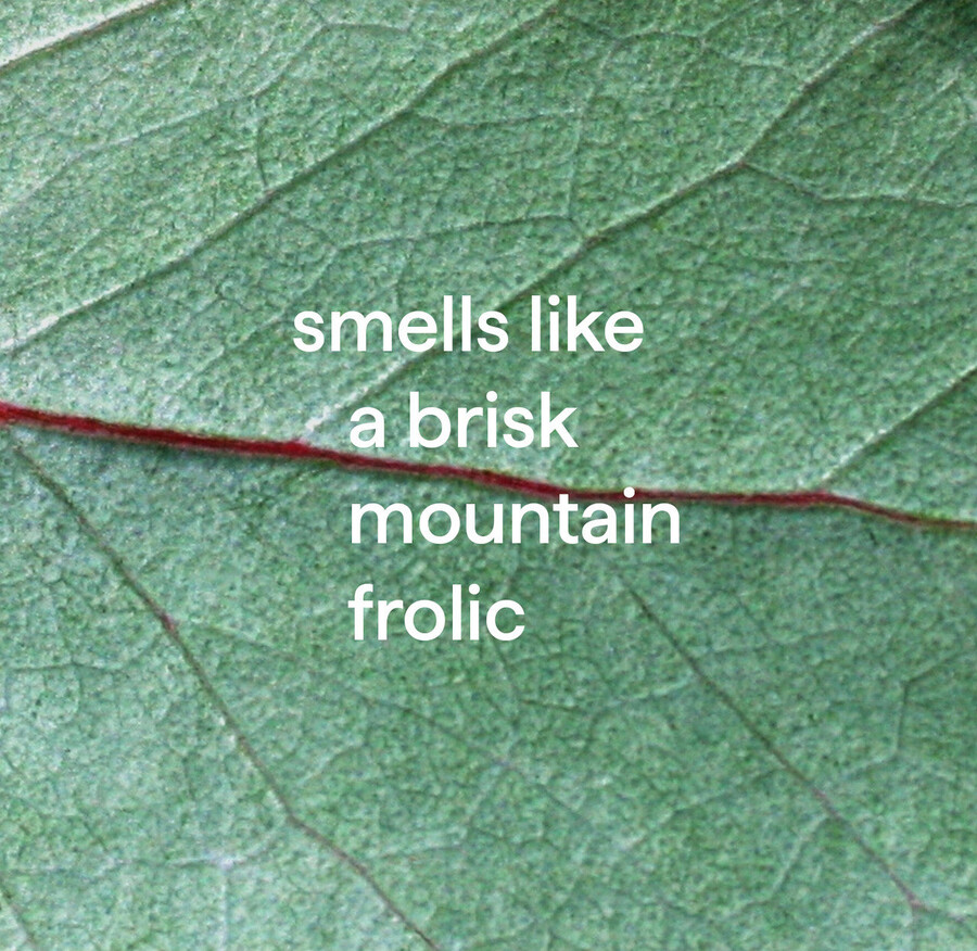 spray de ducha diario