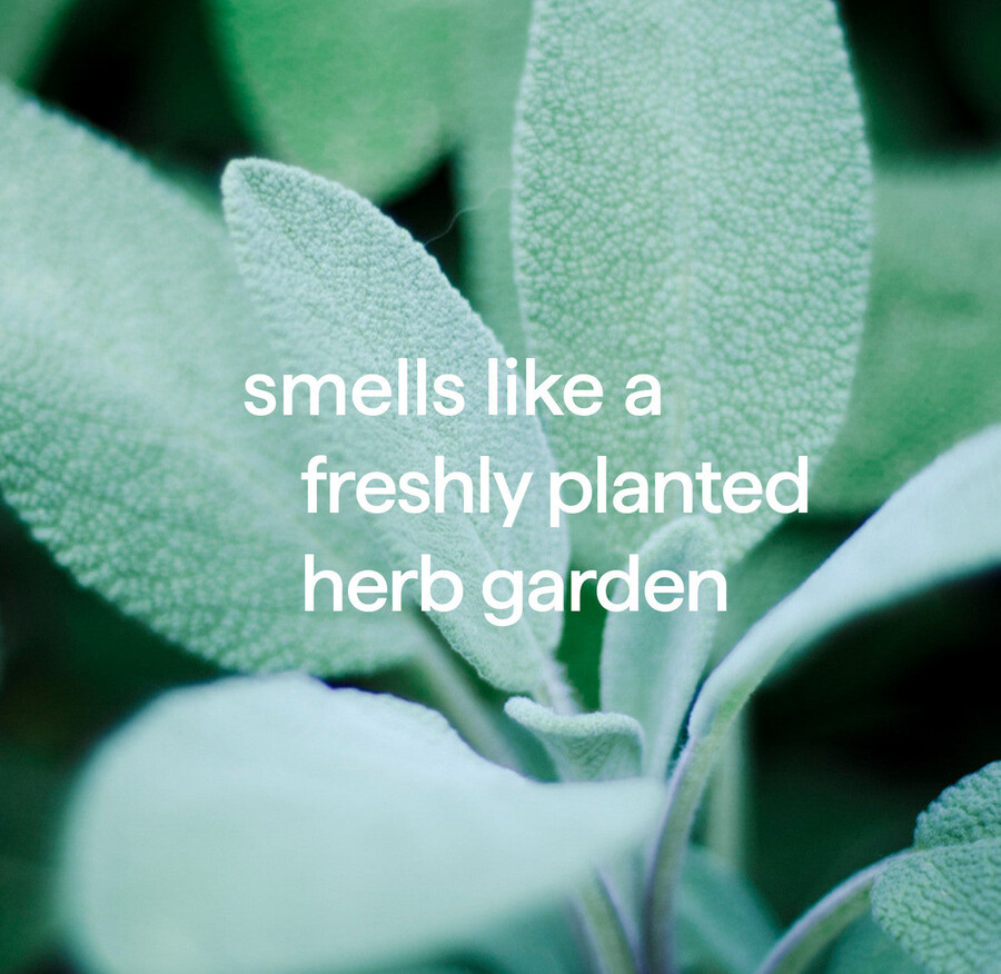 limpiador de pisos duros con chorro y trapeador