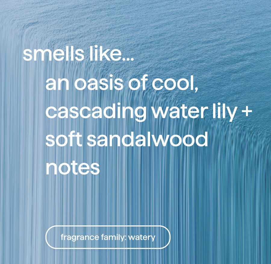 recambio de jabón de manos espumoso