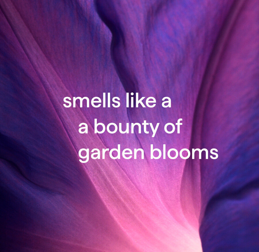 kit de inicio de lavado de manos espumoso